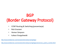 BGP (2).pdf